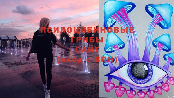 ГАЛЛЮЦИНОГЕННЫЕ ГРИБЫ Алзамай
