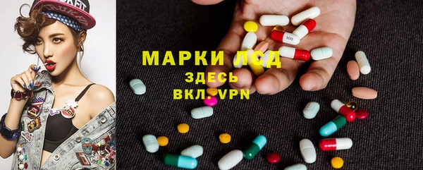 крисы Абаза