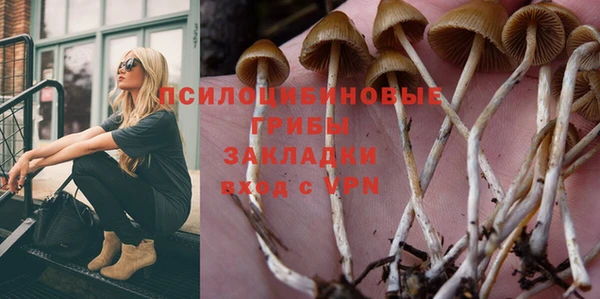 ГАЛЛЮЦИНОГЕННЫЕ ГРИБЫ Алзамай