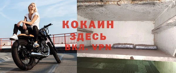 крисы Абаза