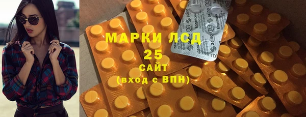 стаф Алексин