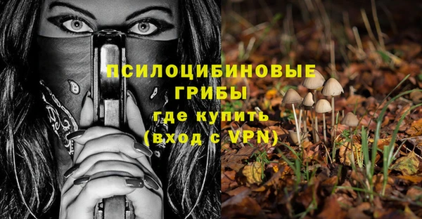 винт Алексеевка