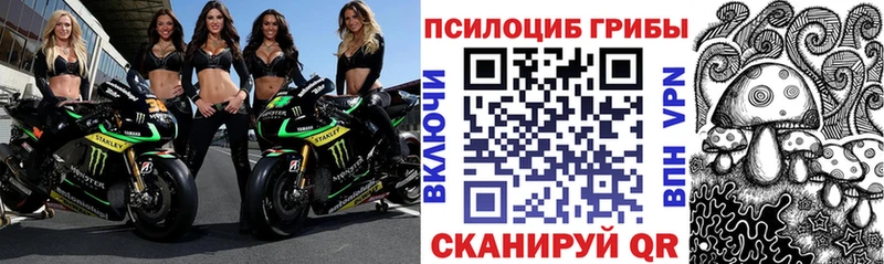 МЕГА вход  Серов  Галлюциногенные грибы мухоморы 
